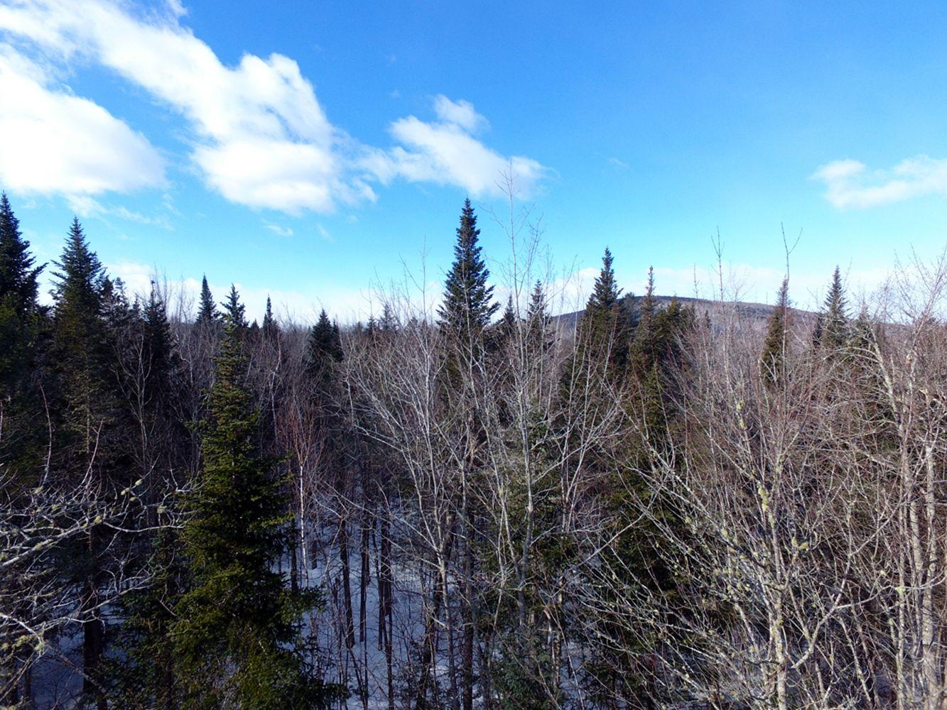 2 Pine Bluff Road Embden, ME 04958 - Photo 33 of 36 DJI_0003
