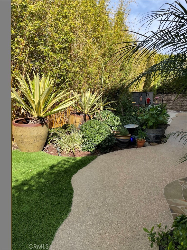 2547 Cornerstone Lane Costa Mesa, CA 92626 - Photo 49 of 60 Side yard