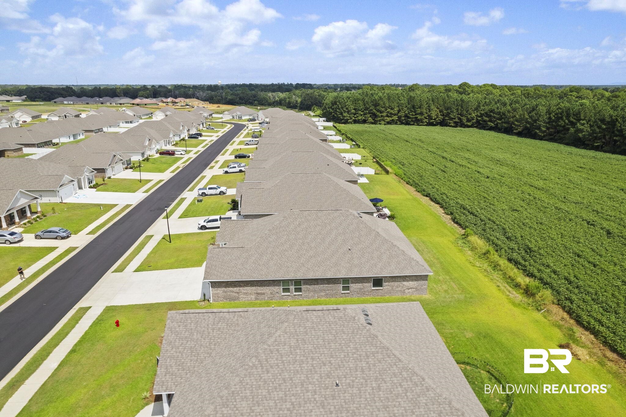 11303 Genuine Risk Circle Daphne, AL 36526 - Photo 86 of 100 Birds eye view of property