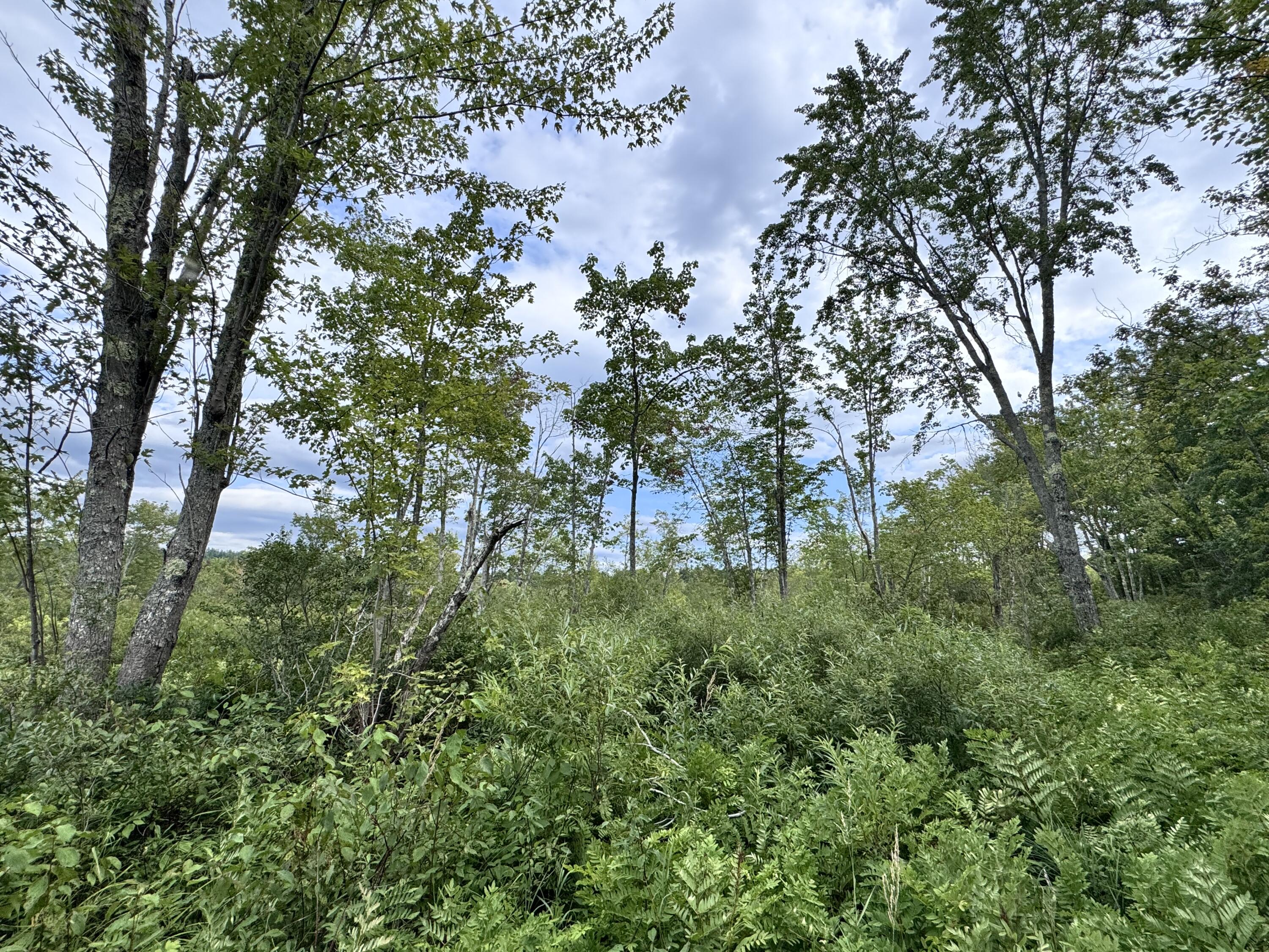 Map20-lot19 Carter Hill Road Fryeburg, ME 04037 - Photo 13 of 22