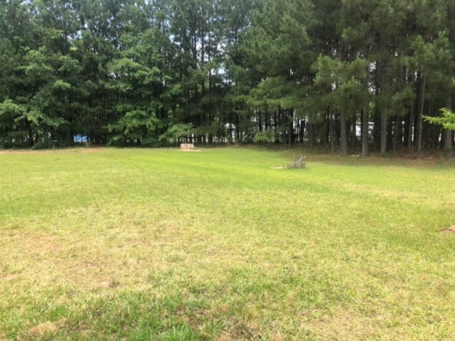 95 Princeton Highway Honea Path, SC 29654 - Photo 11 of 17 Gallery Image 11