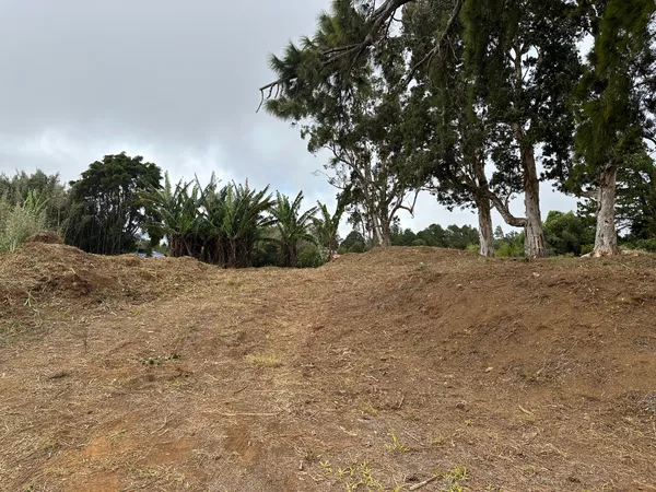 $310,000 | 86 Puu Nanea Street, Kamuela, HI 96743
