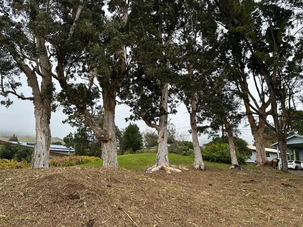$310,000 | 86 Puu Nanea Street, Kamuela, HI 96743