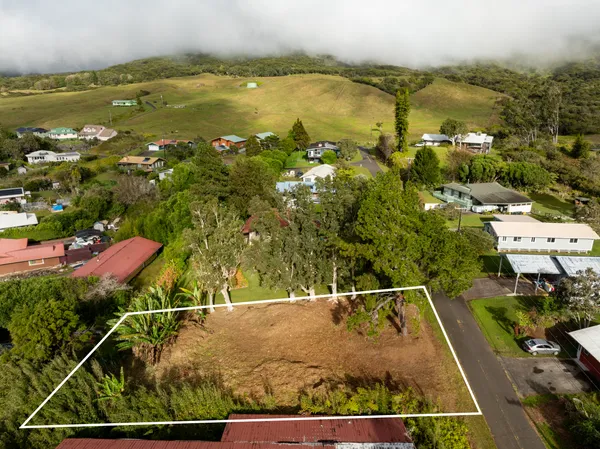 a view of backyard of house