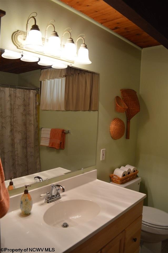 509 Deer Ridge Road Davis, WV 26260 - Photo 18 of 20 Gallery Image 18