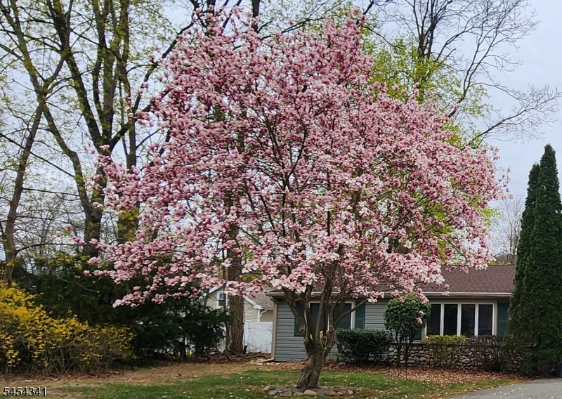 47 Pequot Trail Oak Ridge, NJ 07438 - Photo 19 of 19 Gallery Image 19