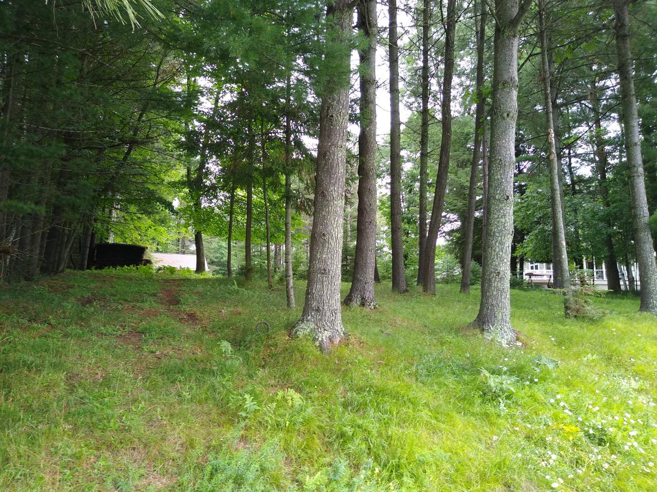 4815 Sherburn Road Eagle River, WI 54521 - Photo 5 of 12 Gallery Image 5