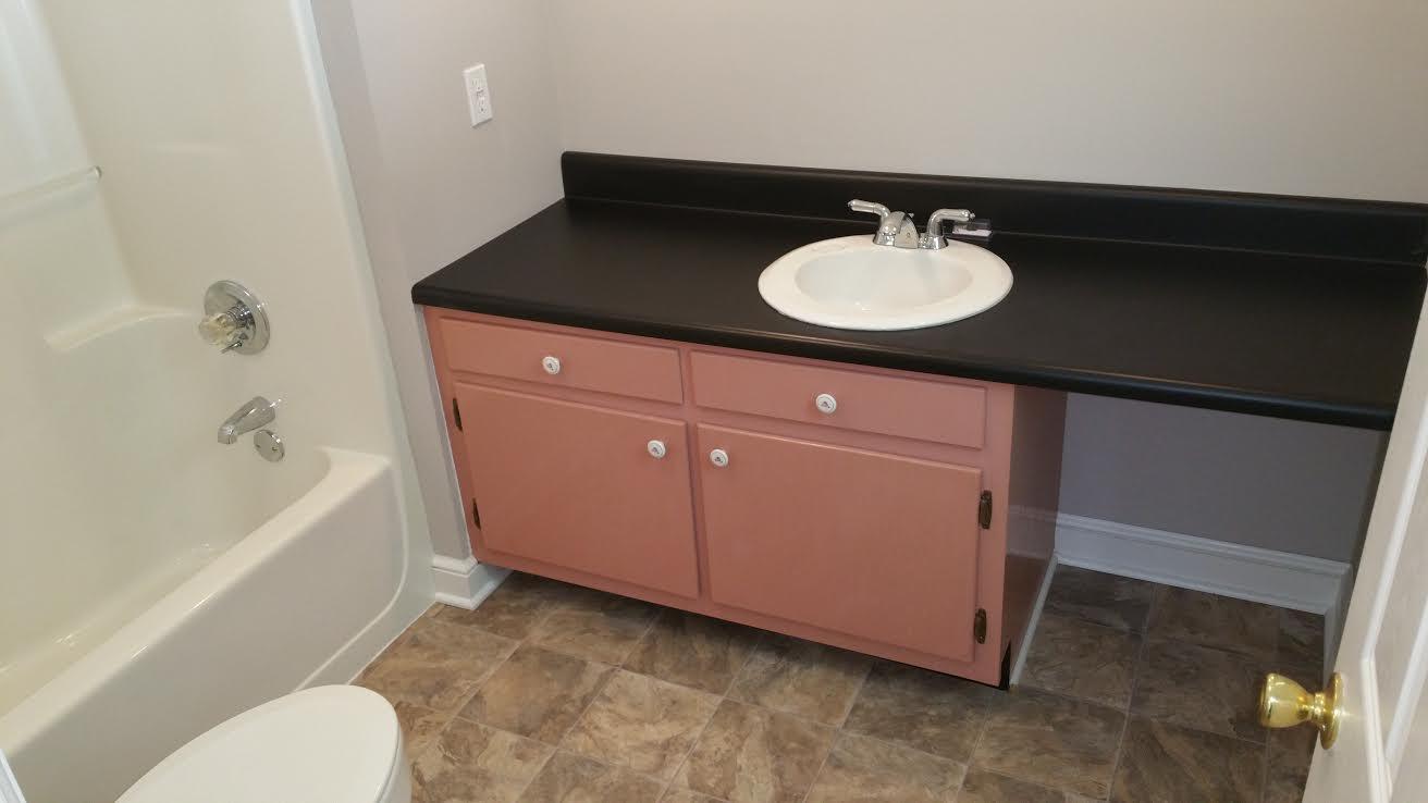 202 Dennis Pierce Road Ringgold, GA 30736 - Photo 19 of 23 Master Bath