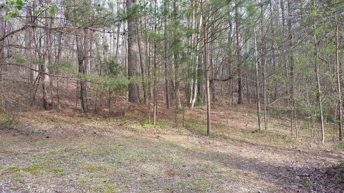 202 Dennis Pierce Road Ringgold, GA 30736 - Photo 6 of 23 202 Dennis Pierce (Property behind house