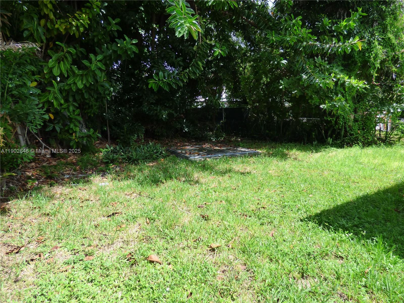 347 Northwest 42nd Street Miami, FL 33127 - Photo 7 of 11 a backyard of a house with lots of green space