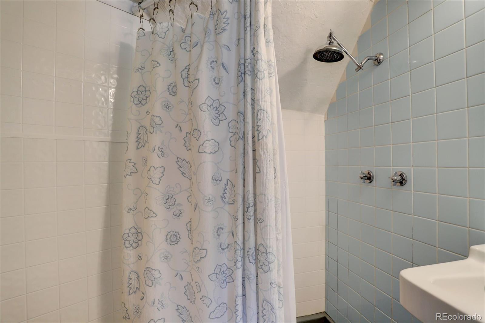 2212 Alvarado Road Georgetown, CO 80444 - Photo 7 of 19 a bathroom with a shower