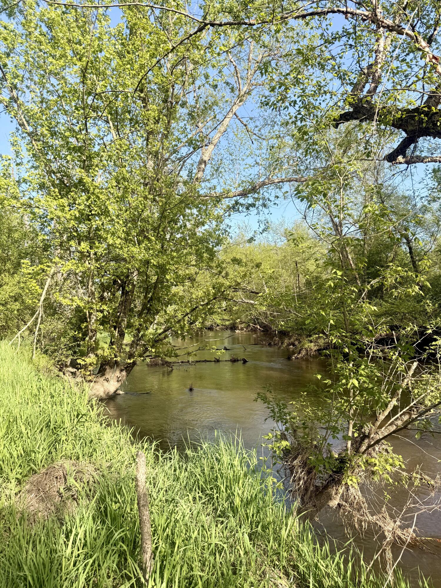 W16875 State Highway 95 Springfield, WI 54659 - Photo 13 of 22 River