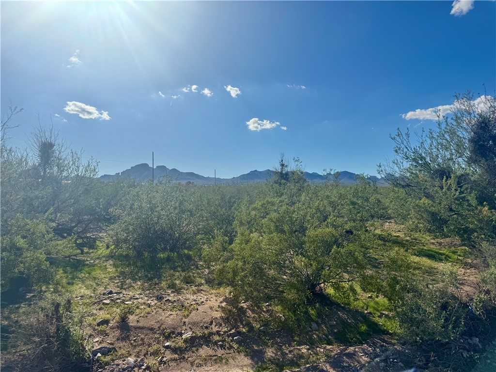 981 South Elfrida Road Golden Valley, AZ 86413 - Photo 1 of 3 View
