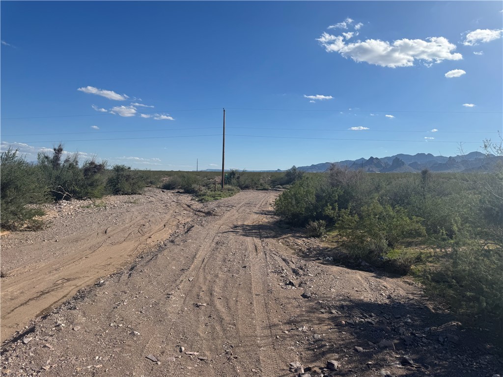 981 South Elfrida Road Golden Valley, AZ 86413 - Photo 2 of 3 Community