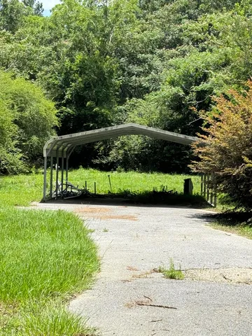 a view of a park with large trees
