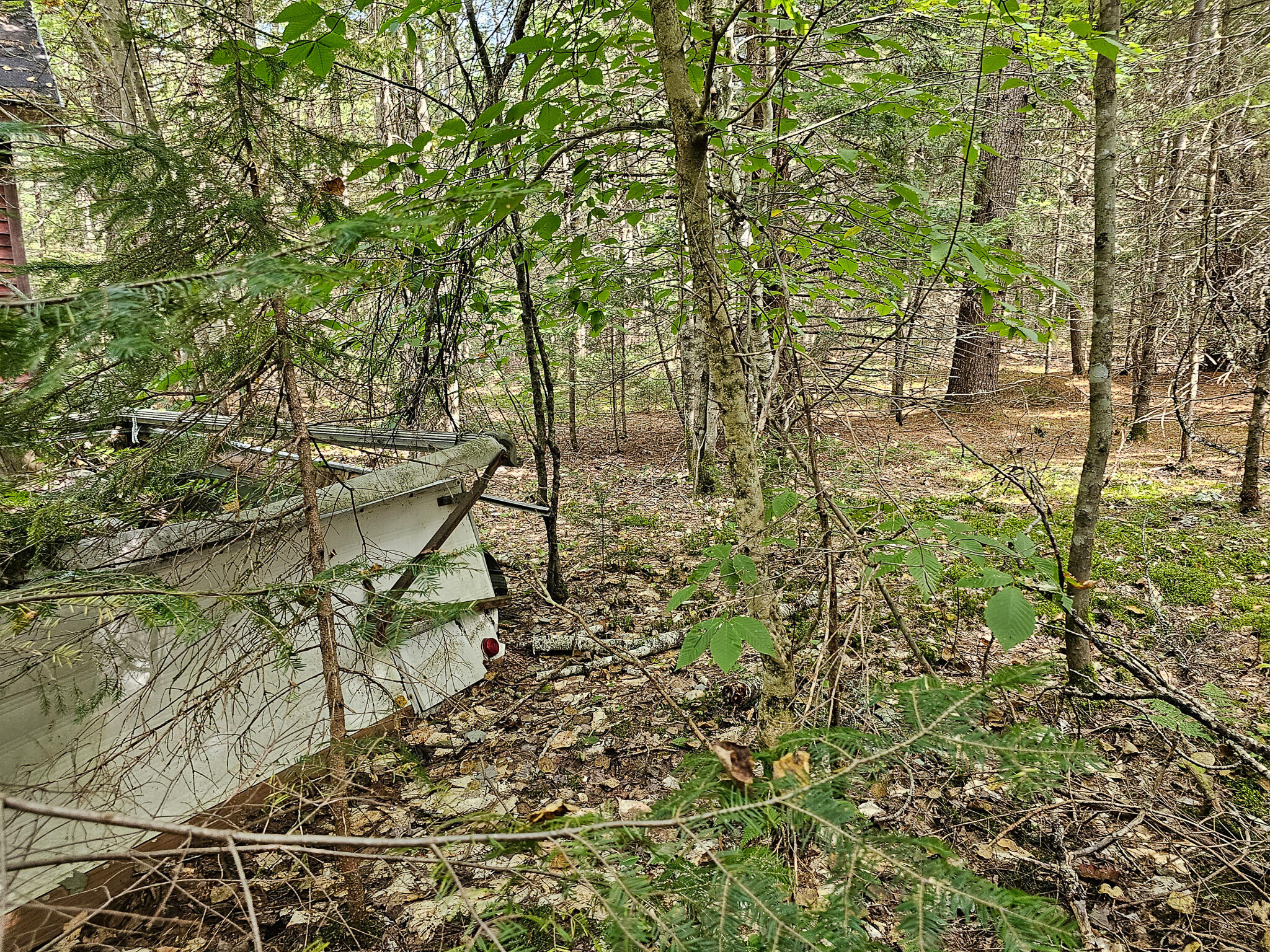 Lot 33 Off Dodlin Road Enfield, ME 04493 - Photo 23 of 27 20230926_121536