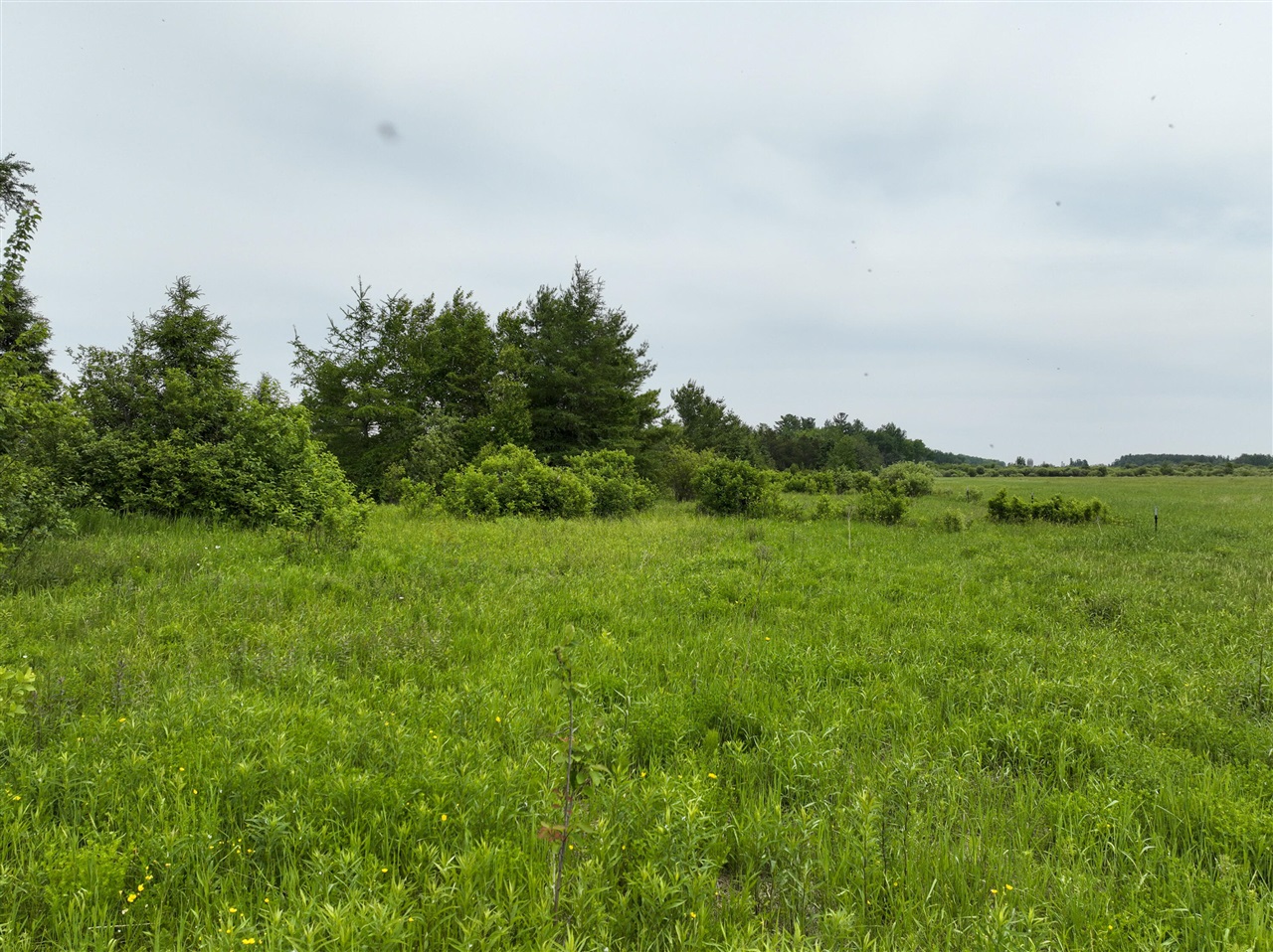 9.9 South A S Forrest Side Road Dafter, MI 49724 - Photo 9 of 14