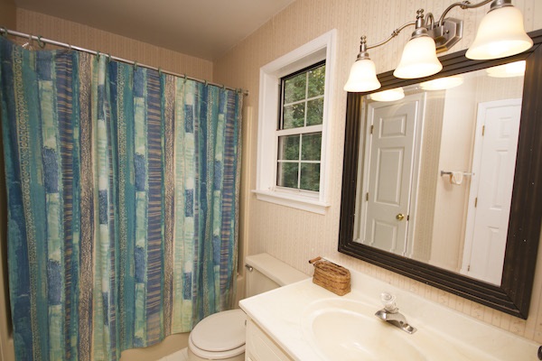 816 Harris Road Charlottesville, VA 22902 - Photo 26 of 28 a bathroom with a sink a toilet and shower