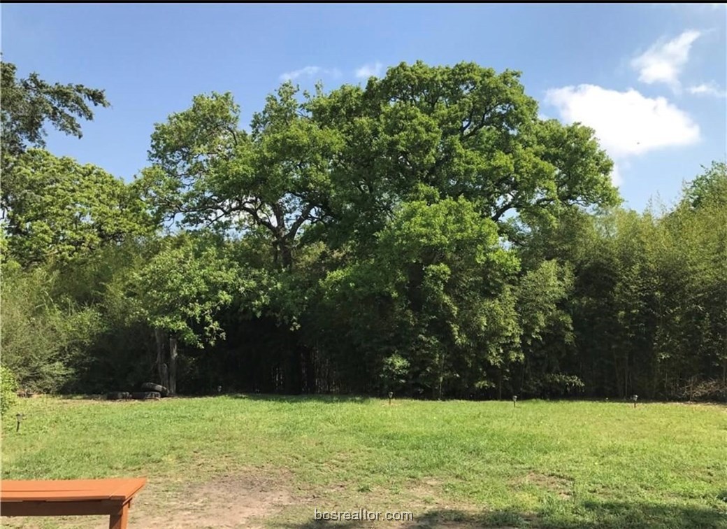 718 Edgewood Drive Bryan, TX 77802 - Photo 11 of 12 a view of field with trees in background