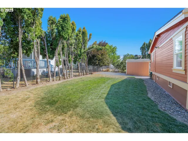 a view of a backyard