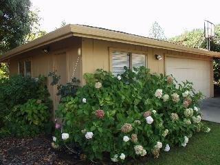 4298 Deer Trail Road Santa Rosa, CA 95404 - Photo 4 of 9 a backyard of a house with lots of green space