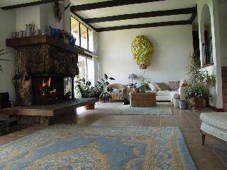 4298 Deer Trail Road Santa Rosa, CA 95404 - Photo 5 of 9 a living room with furniture and a fireplace