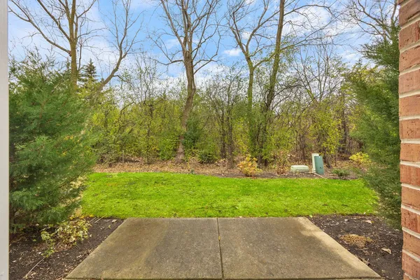 a view of a backyard with large trees