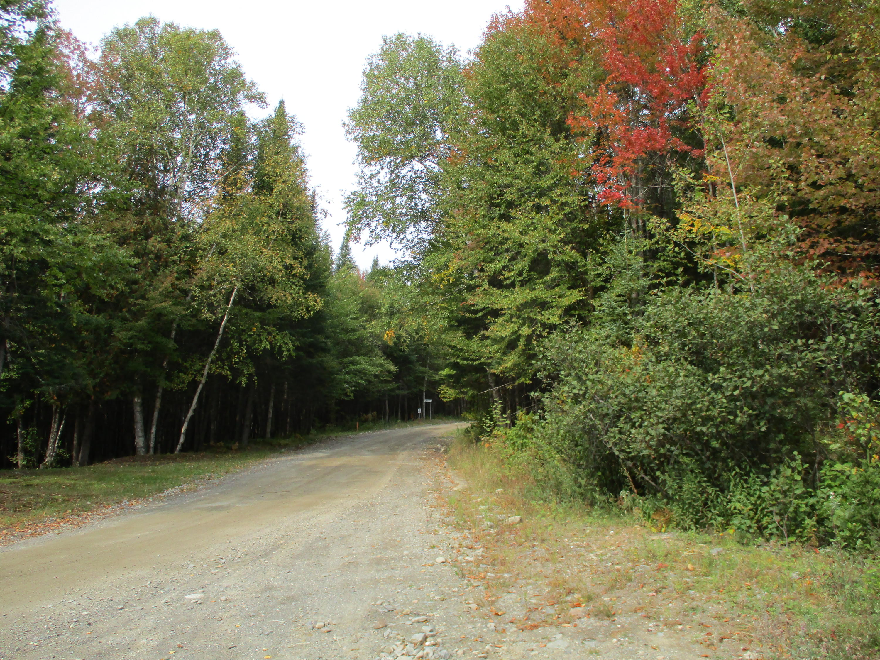 60 Little Black Road St. Francis, ME 04774 - Photo 31 of 35 IMG_1262