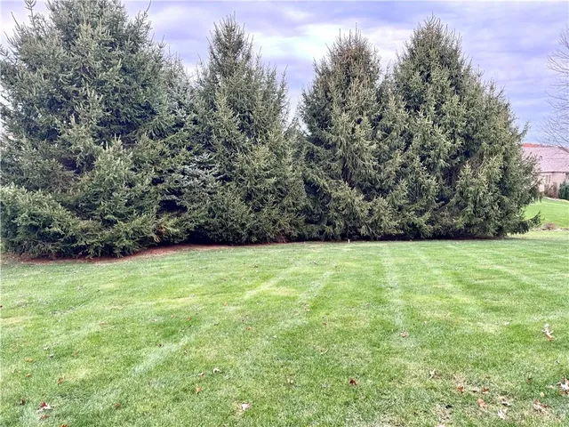 a view of a yard with a trees