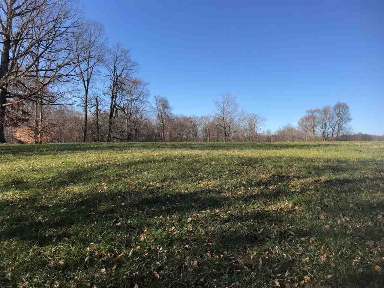23-acres Cemetery Road Scottsville, KY 42164 - Photo 17 of 32 Gallery Image 17