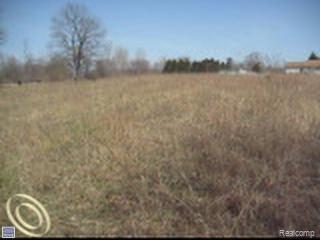 3-5 Layton Road Fowlerville, MI 48836 - Photo 1 of 1 Open view