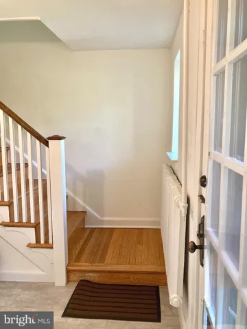 a bathroom with a shower and a rug
