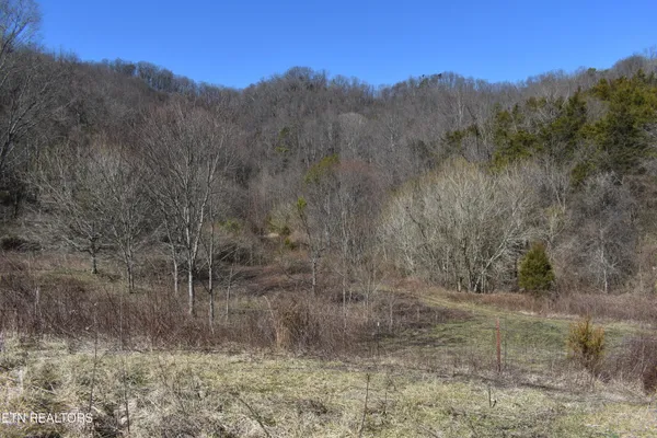 $1,100,000 | 301 Smith Drive, Harrogate, TN 37752