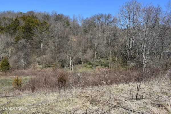 $1,100,000 | 301 Smith Drive, Harrogate, TN 37752