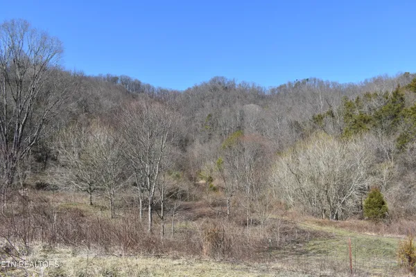 $1,100,000 | 301 Smith Drive, Harrogate, TN 37752