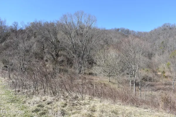 $1,100,000 | 301 Smith Drive, Harrogate, TN 37752