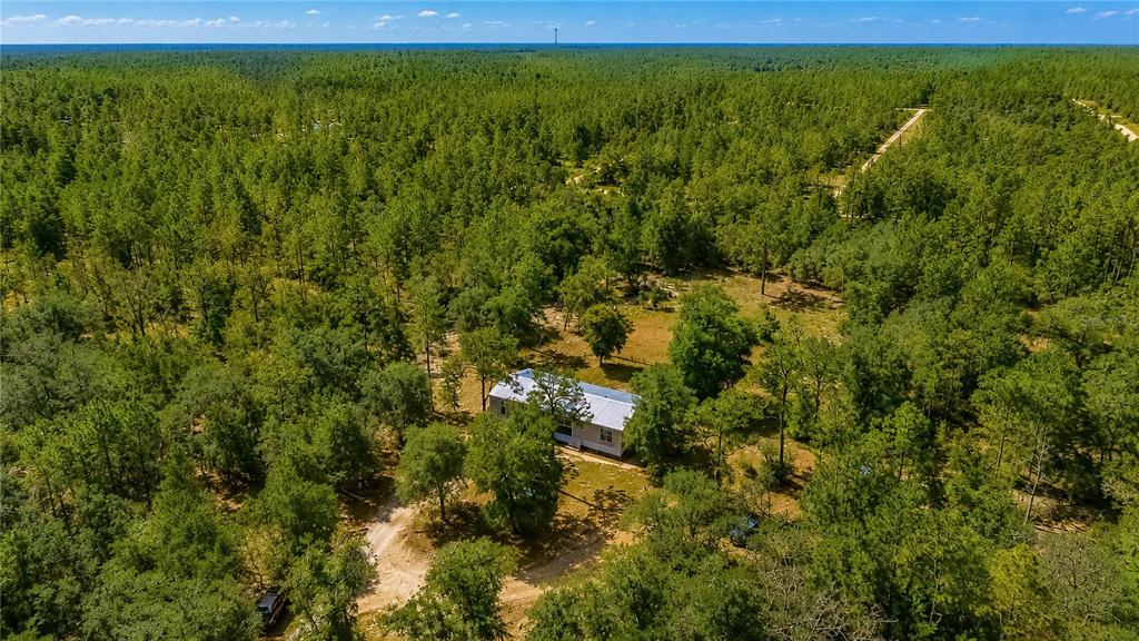 181 Windy Hills Road Hawthorne, FL 32640 - Photo 41 of 47 Gallery Image 41