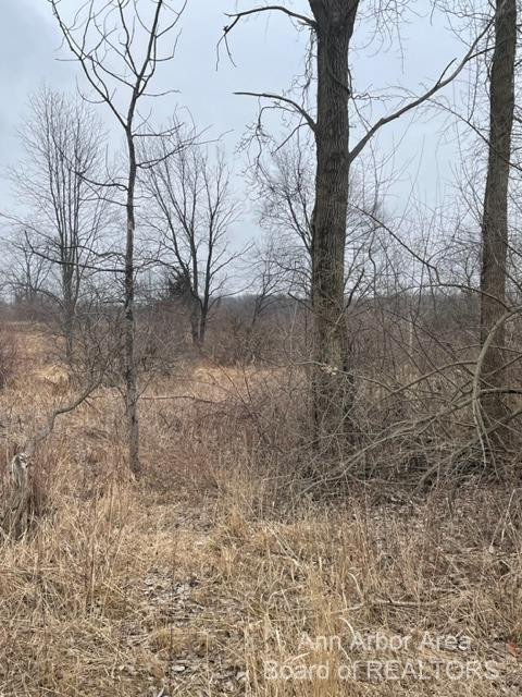 0 Coopersfield Road Chelsea, MI 48118 - Photo 2 of 6 Photo 2