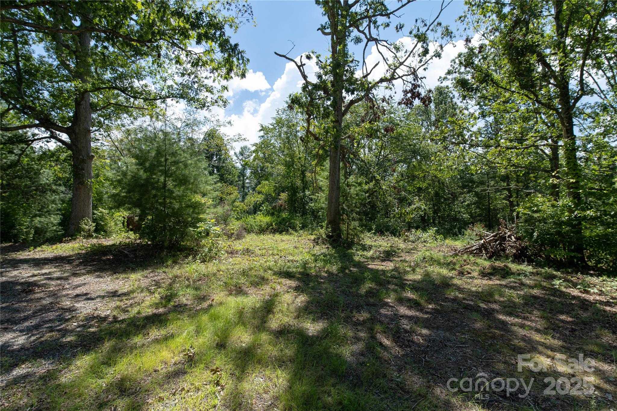 99999 Union Chapel Road Weaverville, NC 28787 - Photo 1 of 10 Gallery Image 1