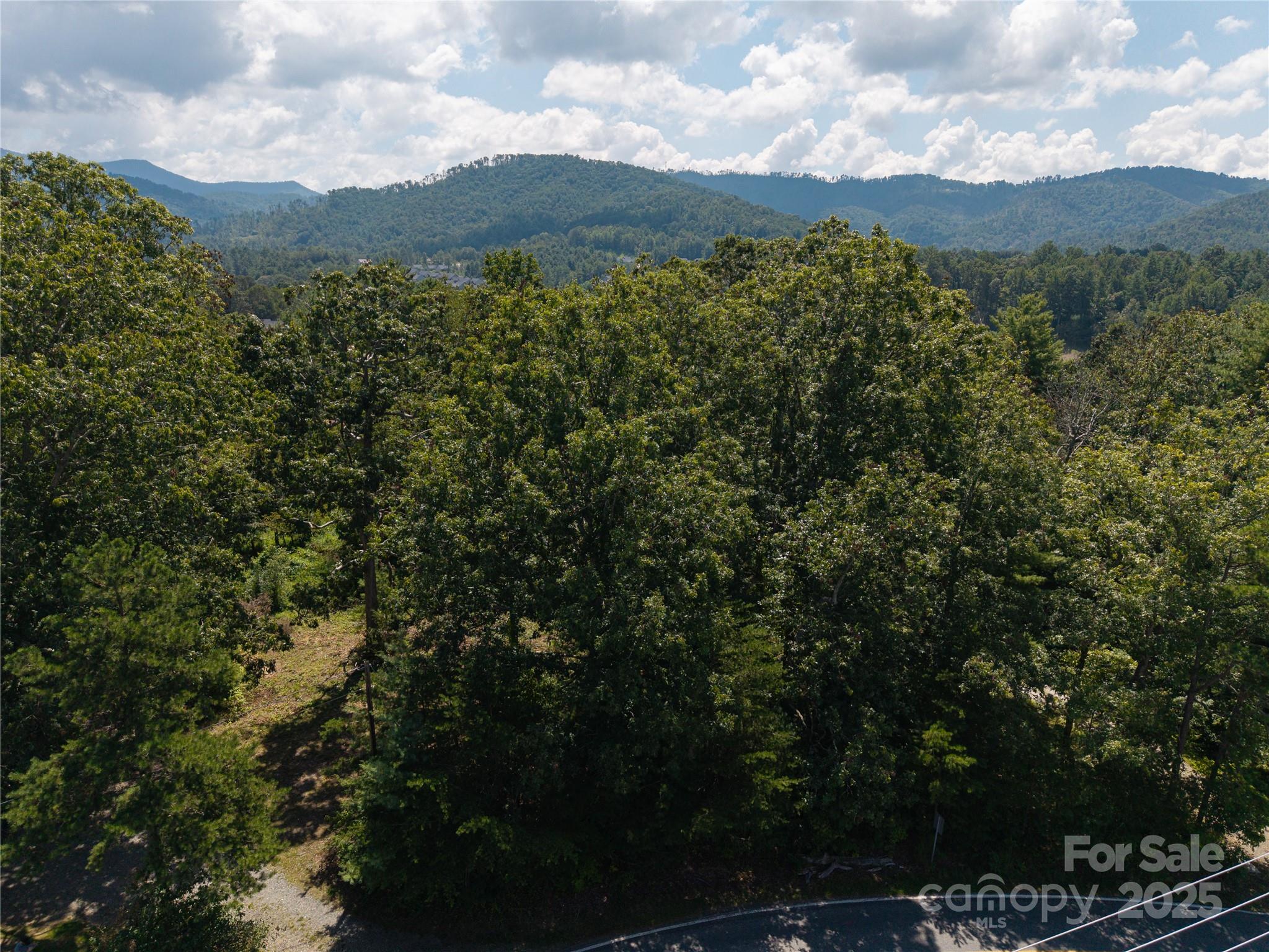 99999 Union Chapel Road Weaverville, NC 28787 - Photo 3 of 10 Gallery Image 3