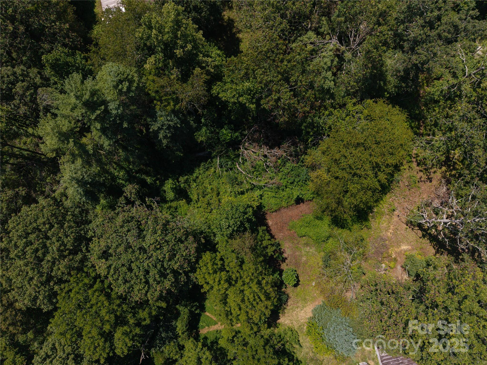 99999 Union Chapel Road Weaverville, NC 28787 - Photo 4 of 10 Gallery Image 4