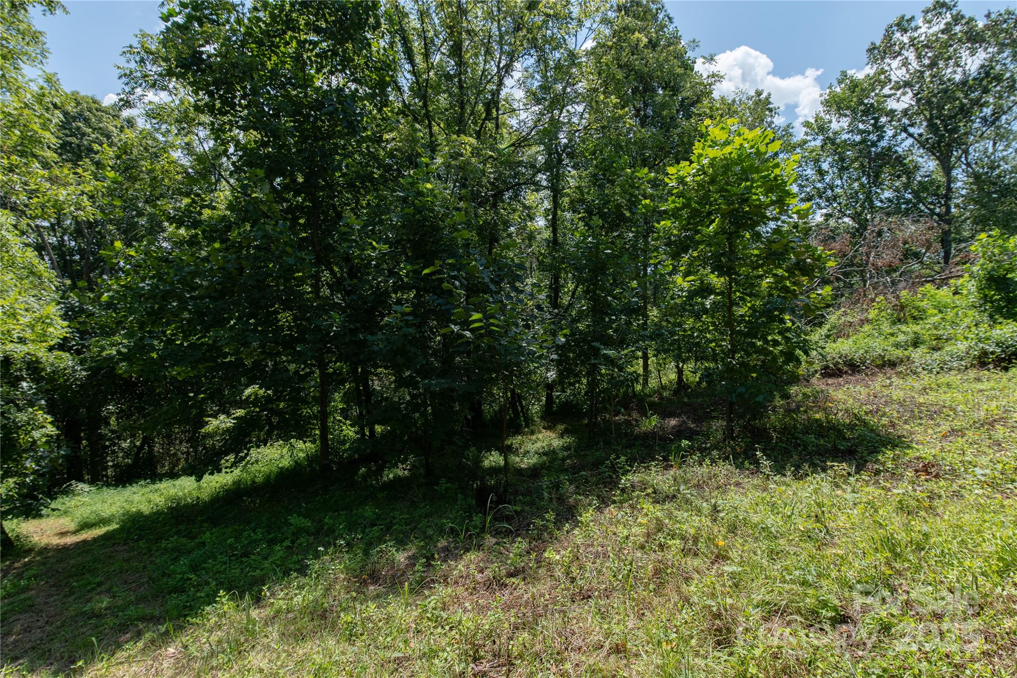 99999 Union Chapel Road Weaverville, NC 28787 - Photo 5 of 10 Gallery Image 5