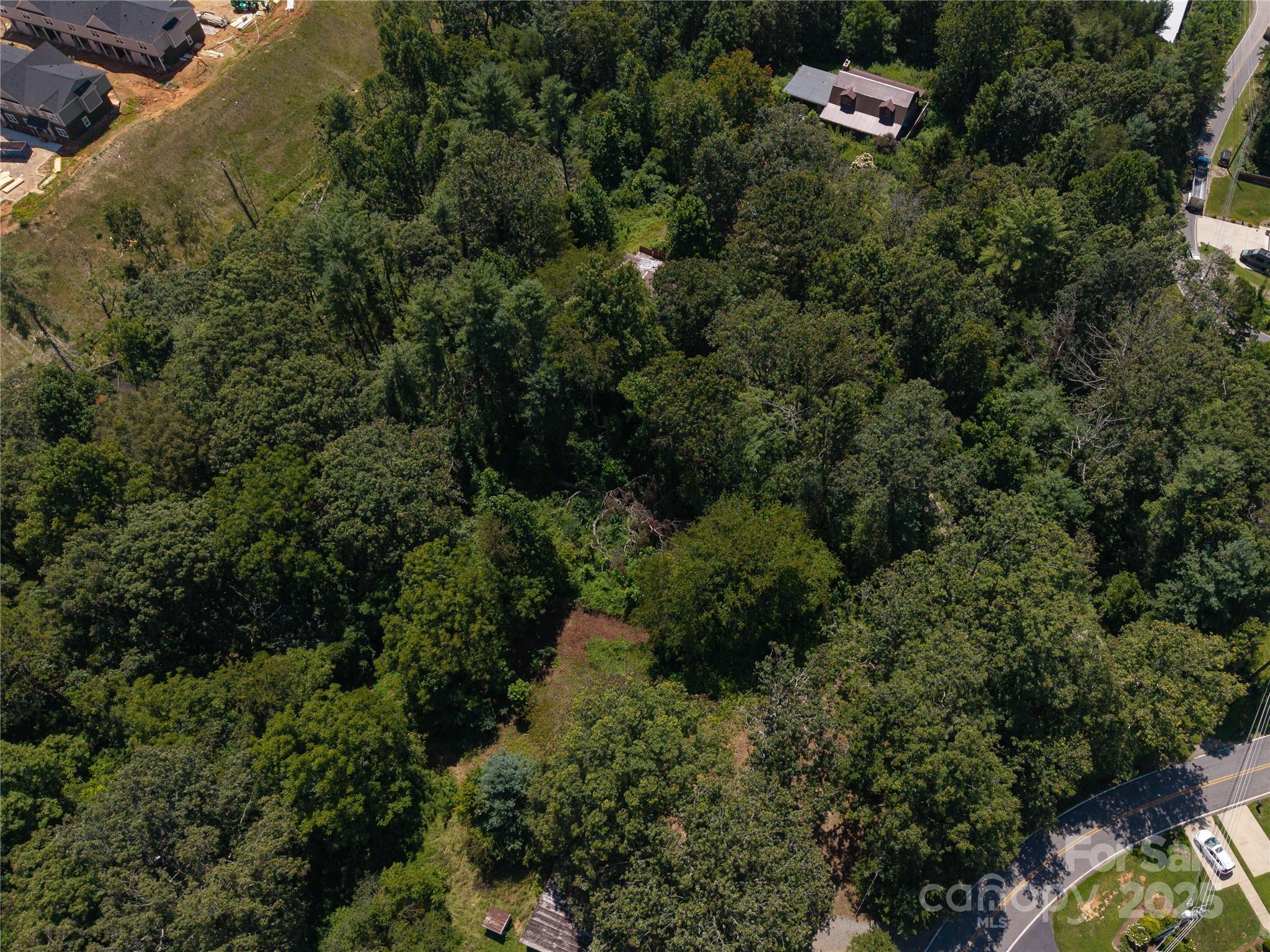 99999 Union Chapel Road Weaverville, NC 28787 - Photo 7 of 10 Gallery Image 7