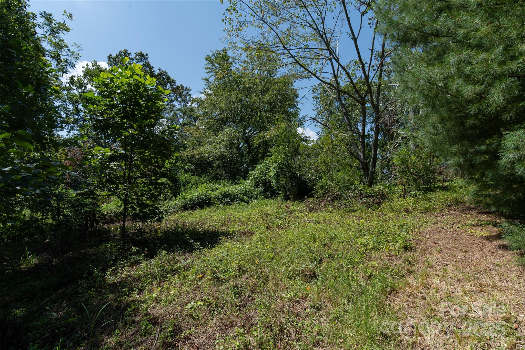 99999 Union Chapel Road Weaverville, NC 28787 - Photo 8 of 10 Gallery Image 8