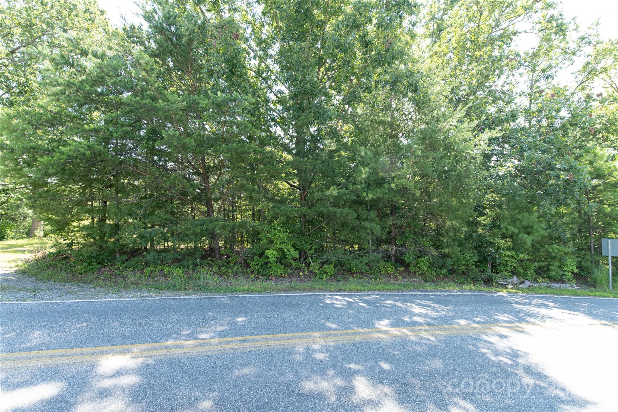 99999 Union Chapel Road Weaverville, NC 28787 - Photo 9 of 10 Gallery Image 9