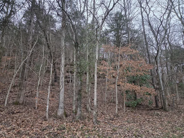 $364,000 | 0 Upper Brush Creek Road, Linden, TN 37096