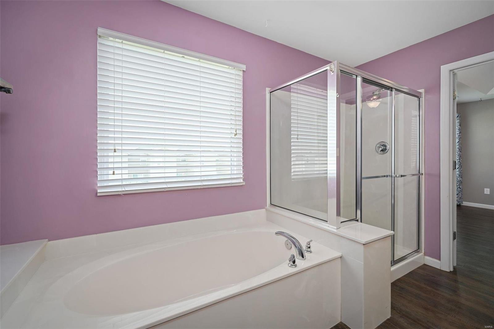 447 Spring Trace O'Fallon, MO 63368 - Photo 17 of 29