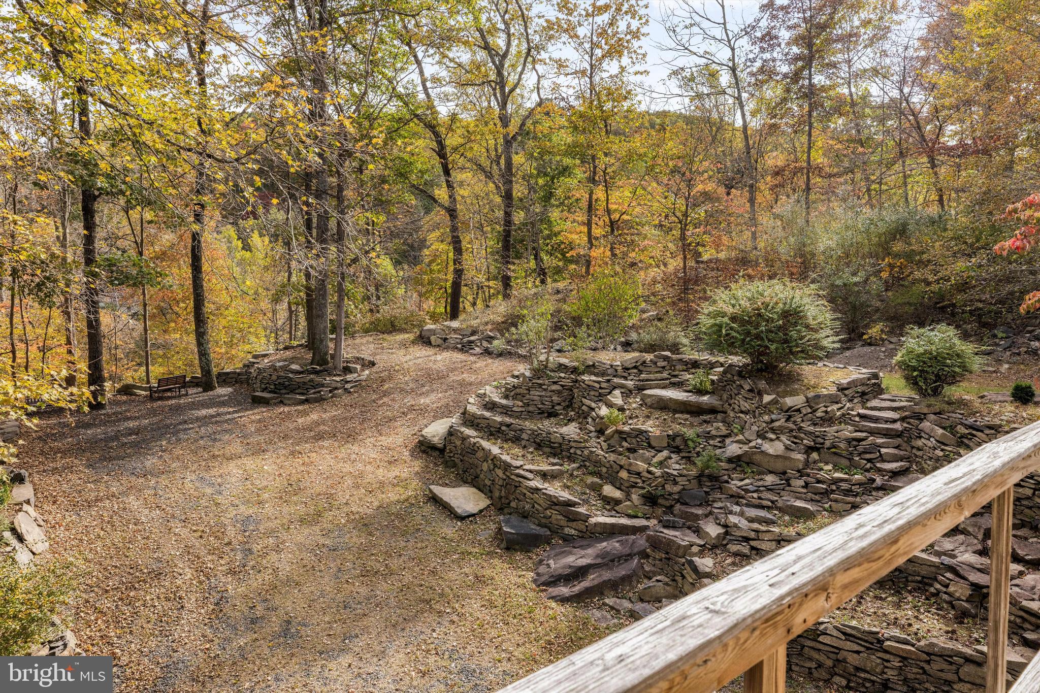 7640 Tohickon Hill Road Pipersville, PA 18947 - Photo 34 of 34 a view of a forest filled with trees