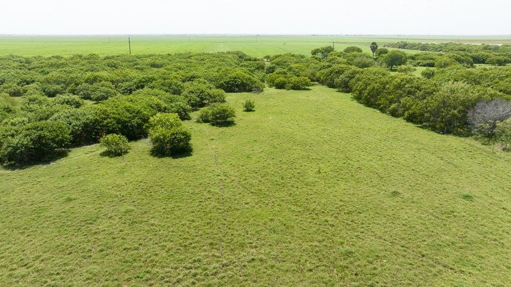 0 Gin Road Woodsboro, TX 78340 - Photo 12 of 26 a view of a big yard with green space