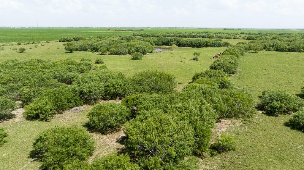 0 Gin Road Woodsboro, TX 78340 - Photo 14 of 26 an aerial view of a houses with outdoor space and trees all around